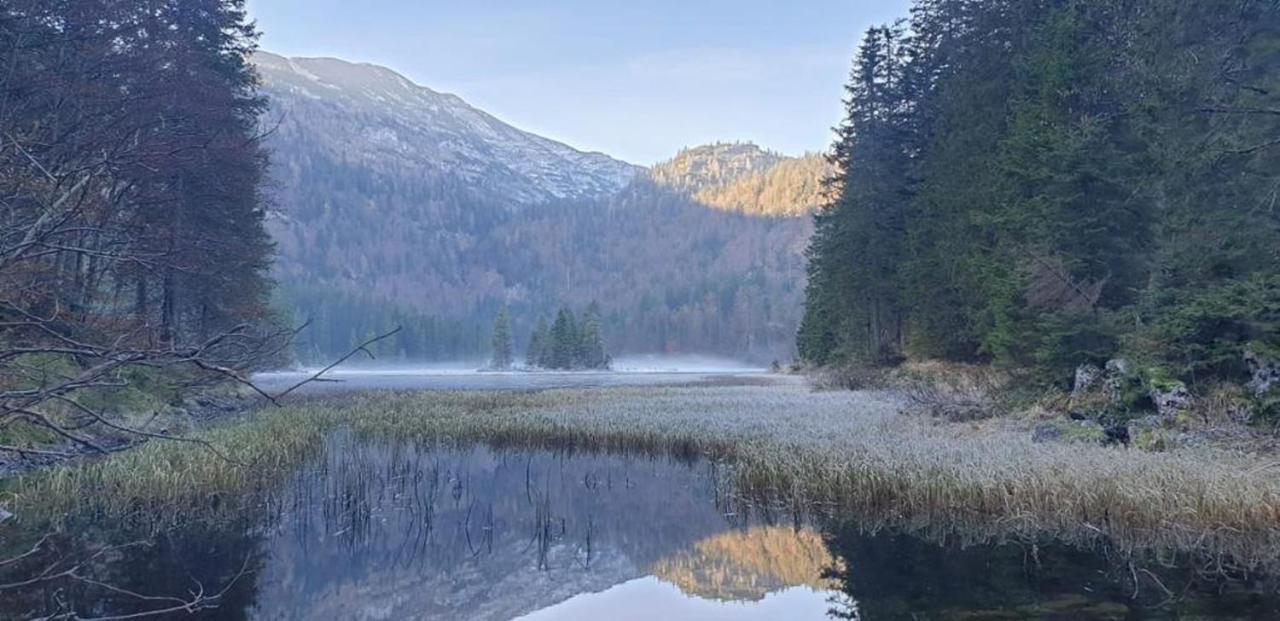 Ledererhof Lunz Am See Bagian luar foto