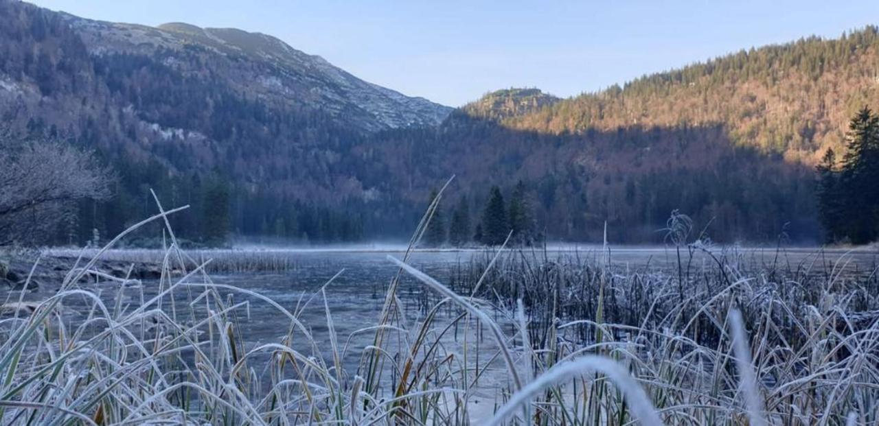 Ledererhof Lunz Am See Bagian luar foto